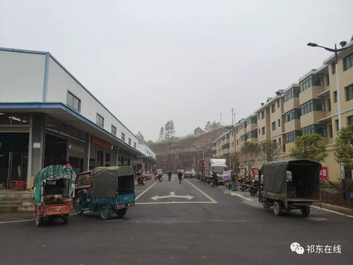 祁東縣大型活禽水產綜合批發市場 位置、功能與區域商貿新格局